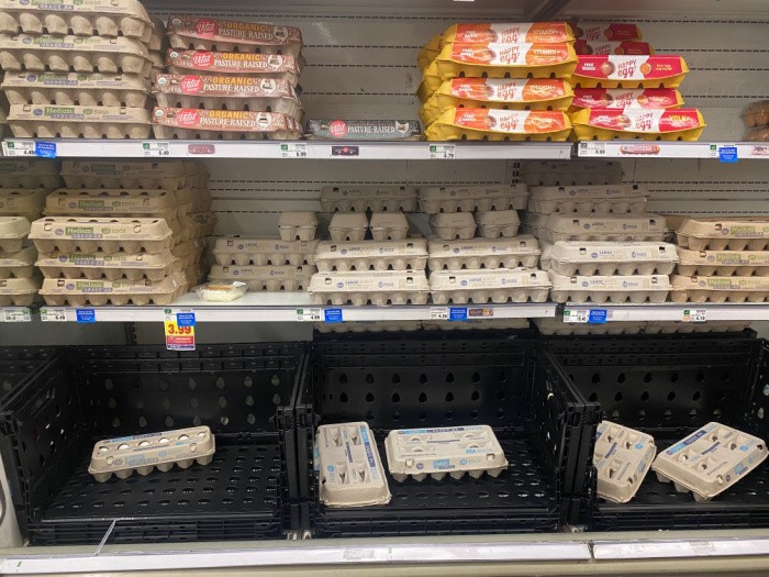 Egg Shortage