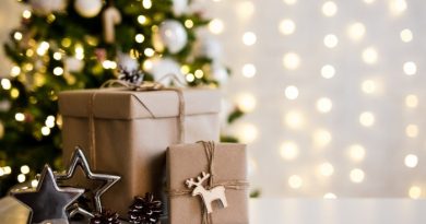 25 Christmas Gift Ideas