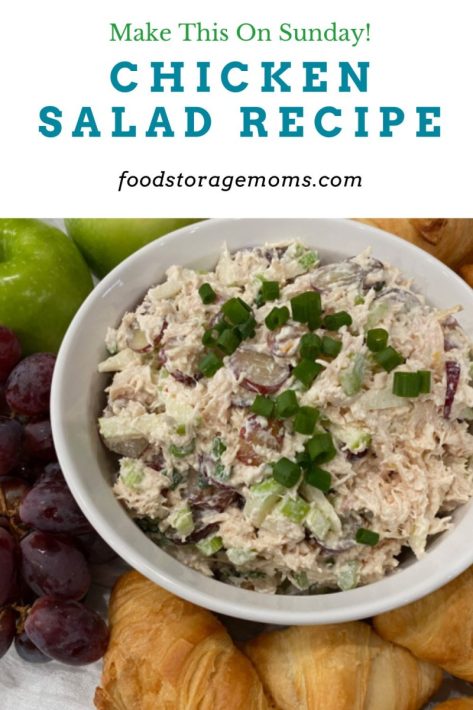 Chicken Salad with grapes, apples, and celery.