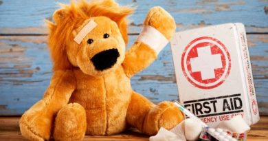 How to Handle an Emergency: Kid Edition