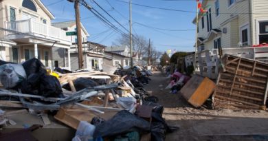 Moving Forward After a Disaster