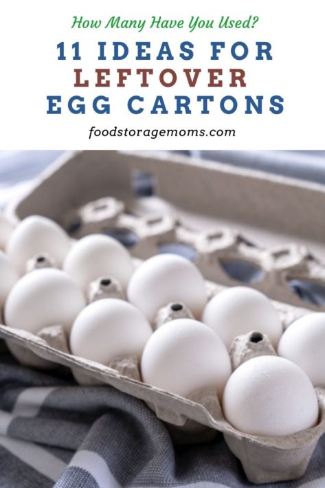 Empty Egg Cartons