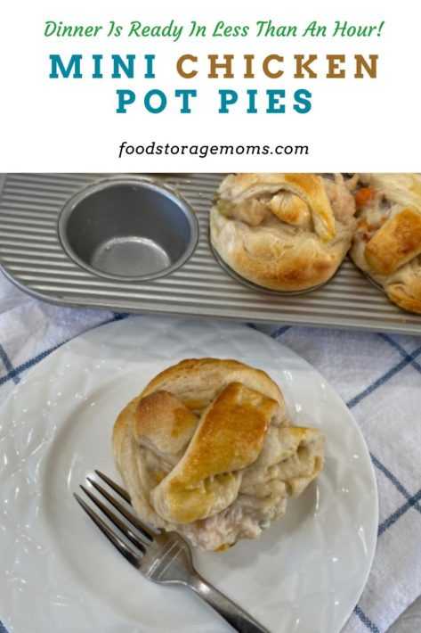 Mini Chicken Pot Pies