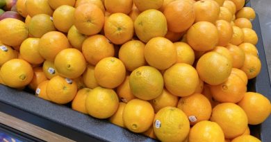 Oranges: Everything You Need to Know