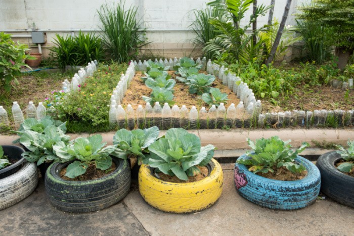 Growing Plants in Tires