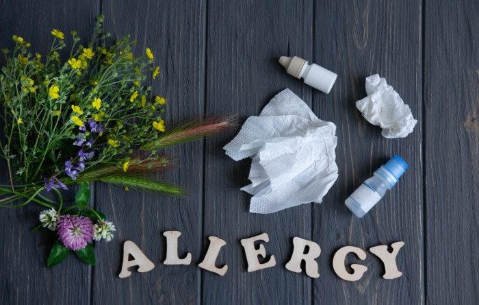 How to Prep Your Home for Allergy Season