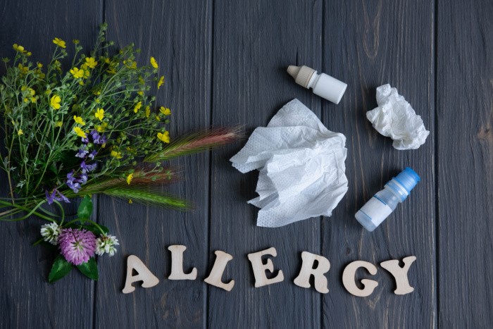 How to Prep Your Home for Allergy Season