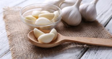 What Are Natural Antibiotics for Humans?