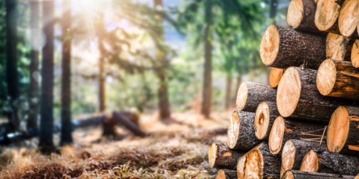 Firewood in Mountains