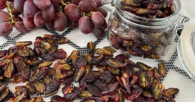 How To Dehydrate Grapes
