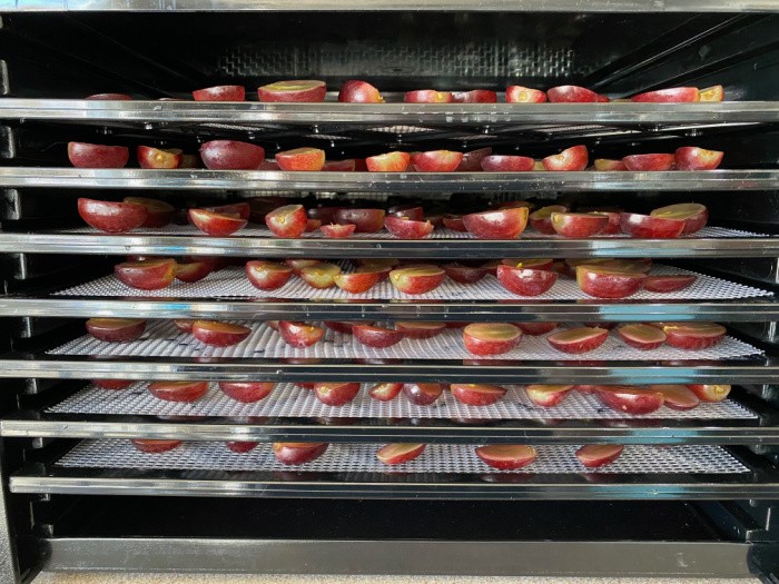 Dehydrator Ready To Start the Drying