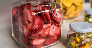 Pros and Cons of Freeze Drying
