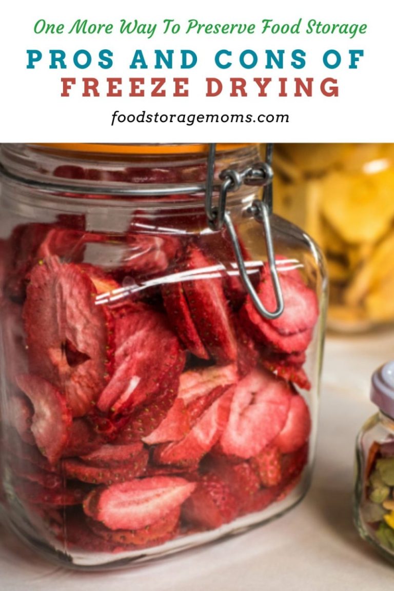 Pros and Cons of Freeze Drying Food Storage Moms