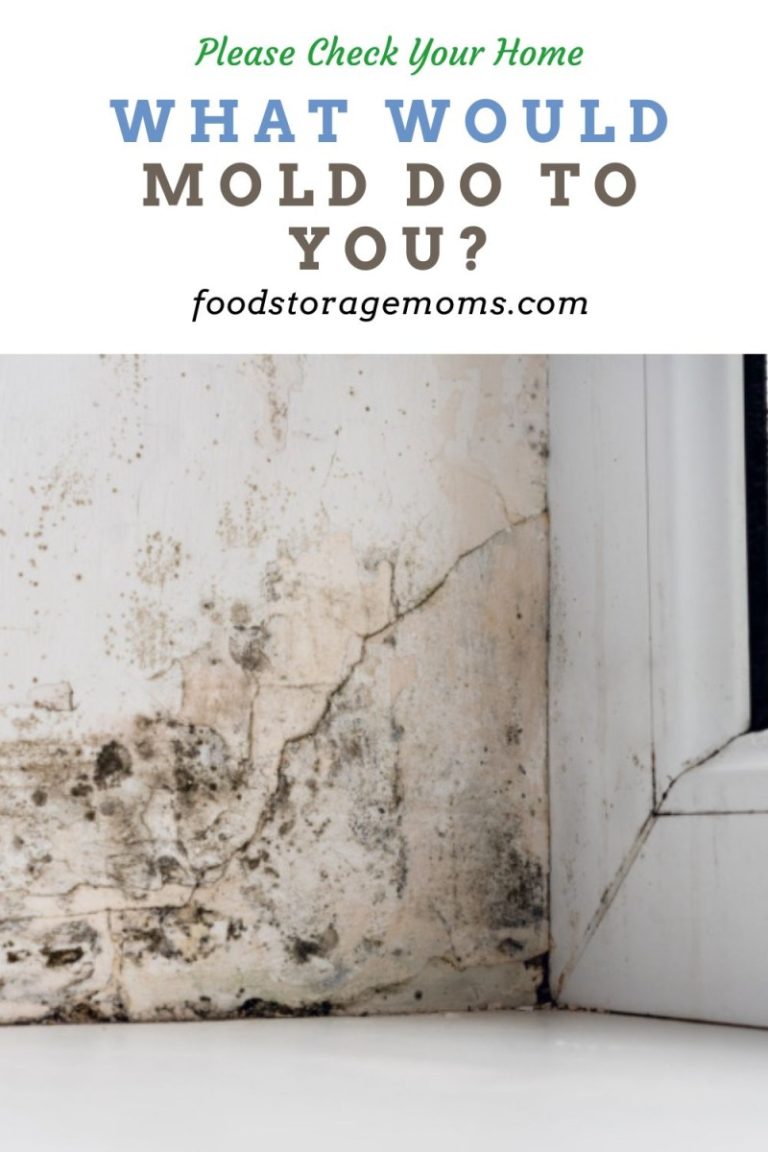 What Would Mold Do To You? Food Storage Moms
