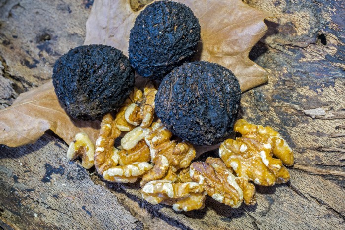 Black Walnuts