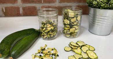 Dehydrated Zucchini Chunks and Chips