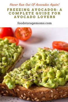 Freezing Avocados: A Complete Guide for Avocado Lovers - Food Storage Moms