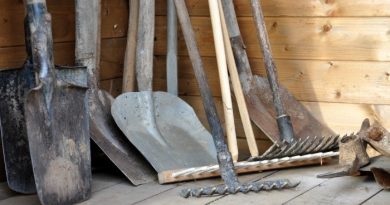 Garden Tools Needed For Homesteading