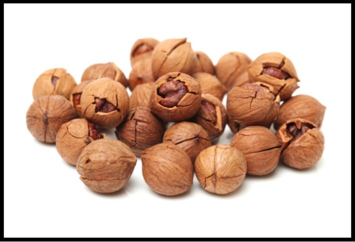 Hickory Nuts