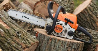 Oak Firewood being Cut with a Chainsaw