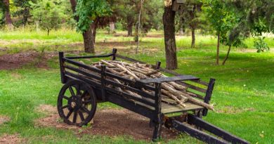 Wooden Wagon