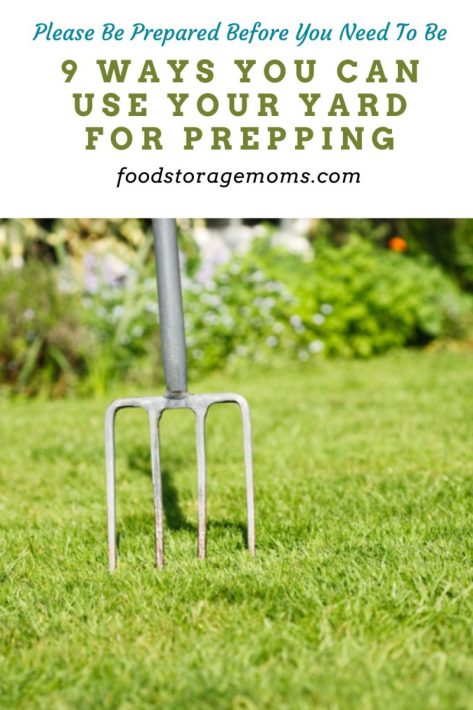 9 Ways You Can Use Your Yard for Prepping