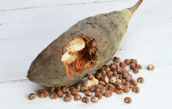 Baobab Fruit Pulp and Seeds