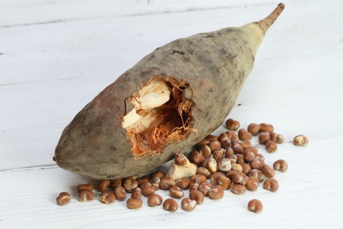 Baobab Fruit Pulp and Seeds