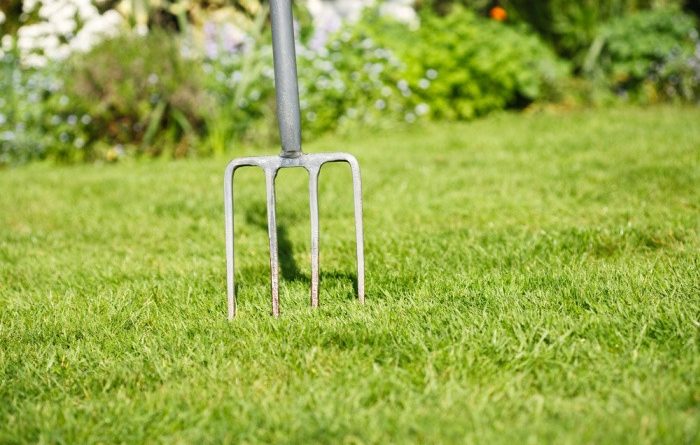 Gardening Fork in Large Yard