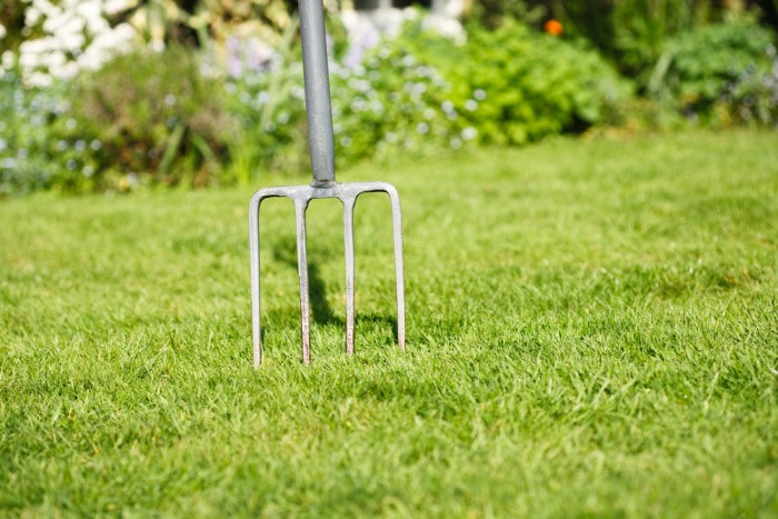 Gardening Fork in Large Yard