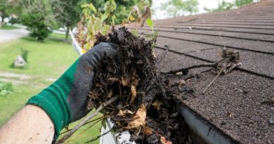 Gutter Cleaning Out Debris