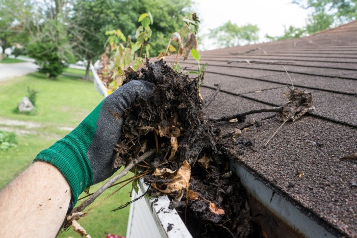 Gutter Cleaning Out Debris