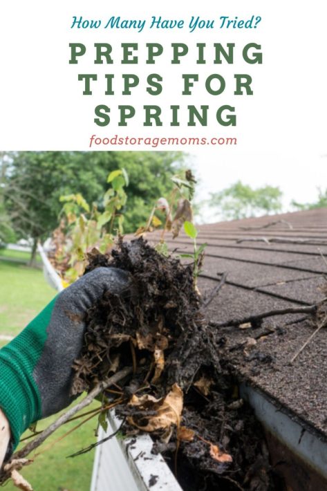 Prepping Tips for Spring