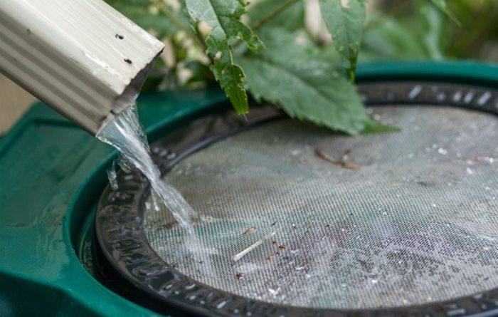 Rain Barrels