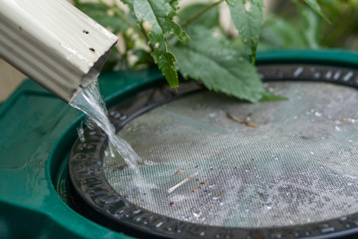 How to Use Rain Water at Home