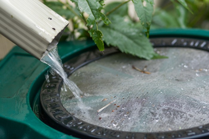 Rain Barrels