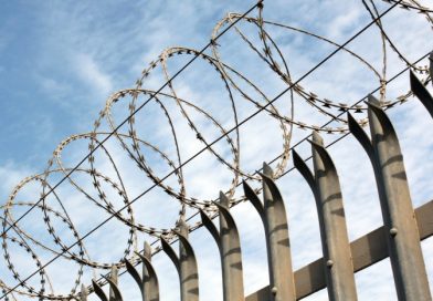Fencing with Wire on Top