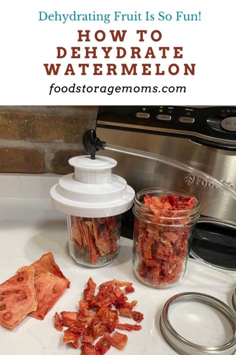 How To Dehydrate Watermelon 