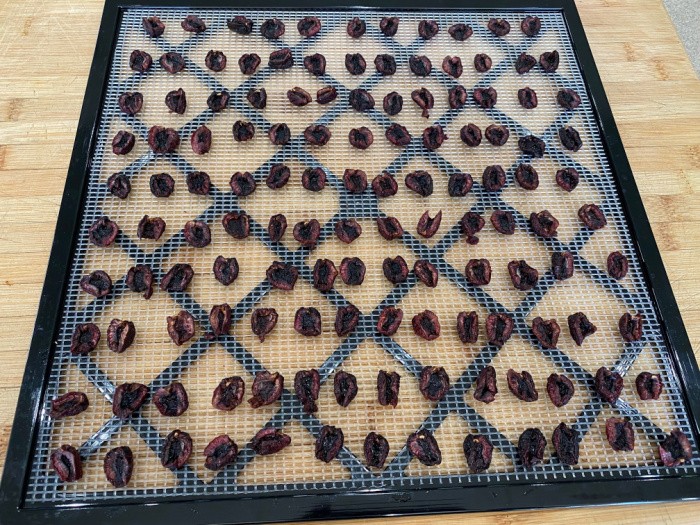 Cherries Dehydrated