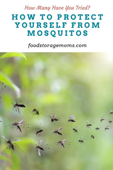 How to Protect Yourself From Mosquitos