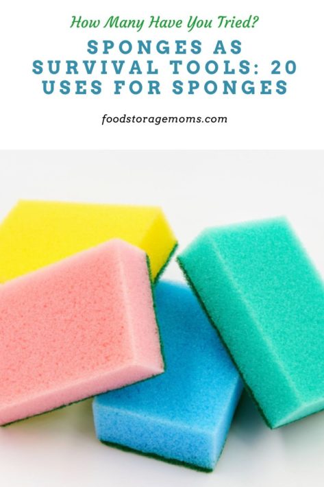 Sponges as Survival Tools: 20 Uses for Sponges