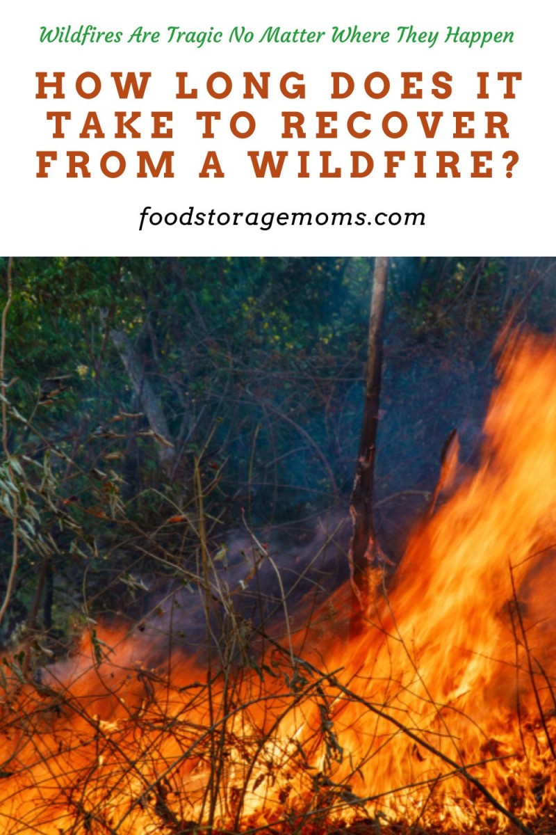 How Long Does it Take to Recover From a Wildfire? Food Storage Moms