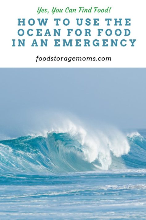 How to Use the Ocean for Food in an Emergency