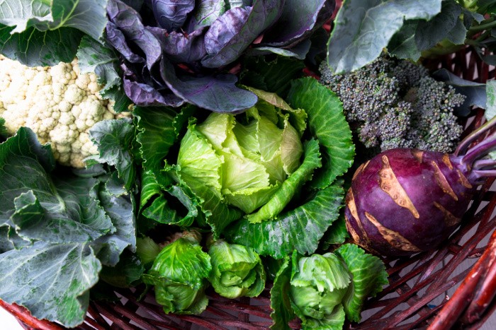 Cabbage Assortment