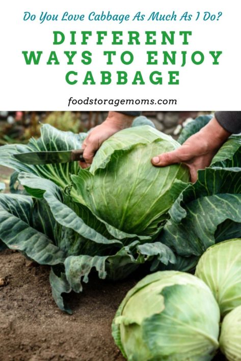 Different Ways to Enjoy Cabbage 