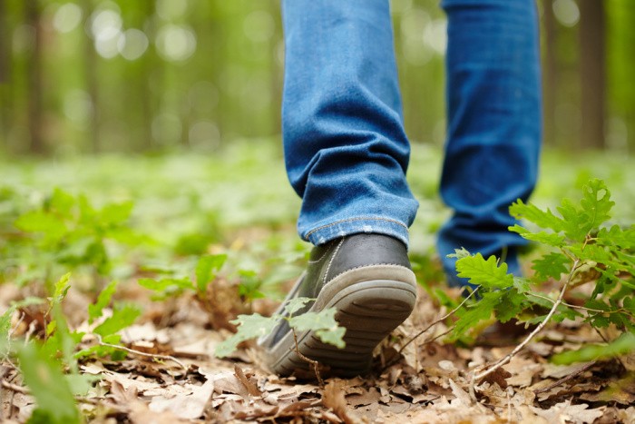 Man Walking in Grass