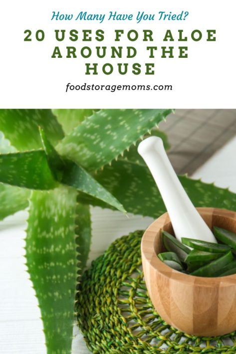 20 Uses for Aloe Around the House