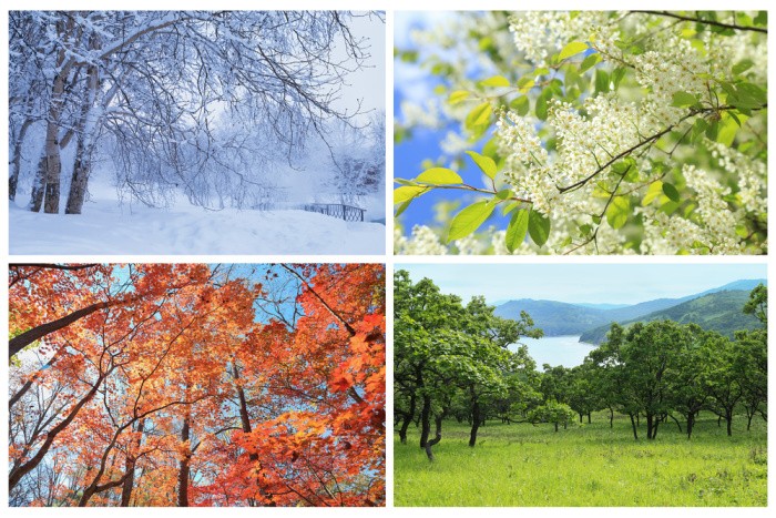 Four Seasons, Winter, Spring, Summer, and Fall