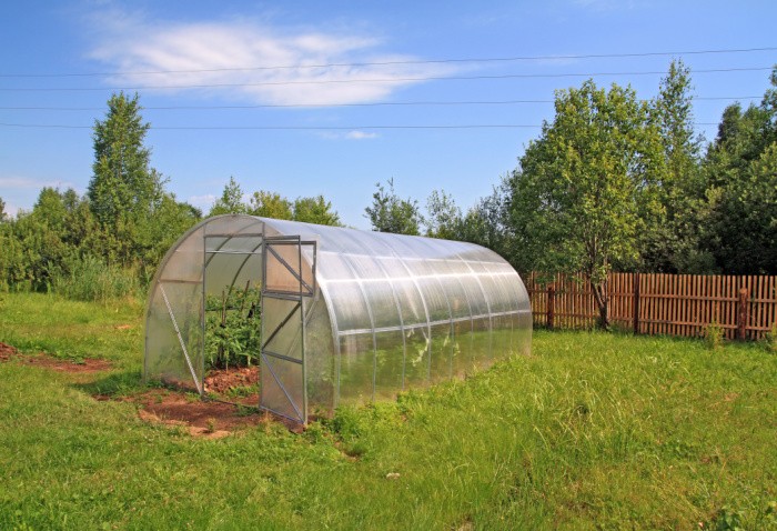 Plastic Sheeting Hothouse