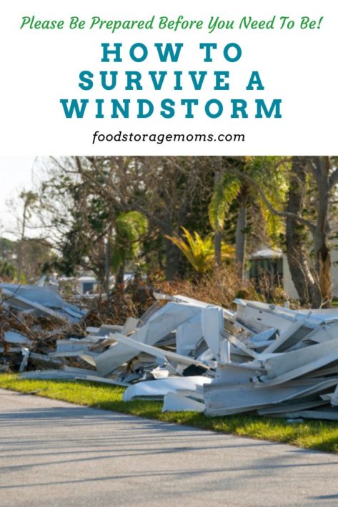 How to Survive a Windstorm